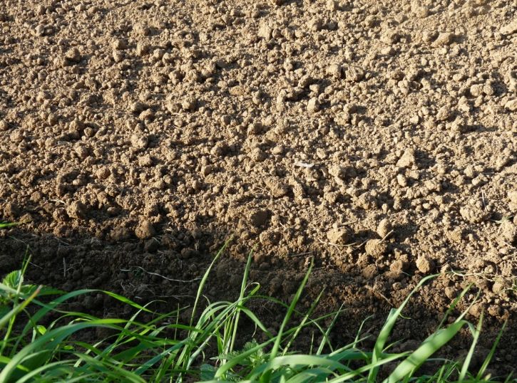 Pôda, hlina, zemina, substrát - aký je rozdiel